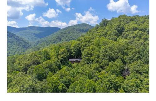 Mountain Retreat Fire Pit Hiking Trails BBQ - Foto 5