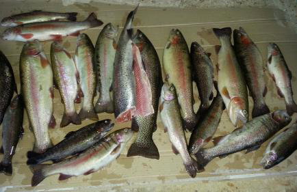 Gacka Valley - Foto 42