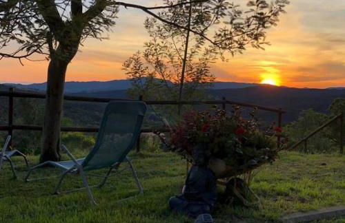 Agriturismo TerraMadre - Foto 45