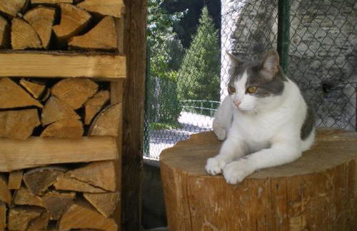 Casa Zebrusius - Zebrusius's App - Foto 27