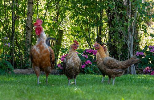 Abbey Farm House - Pet Friendly - Foto 19