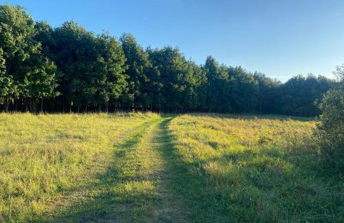 Domek nad Śniardwami - Foto 34