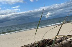 Biały domek - Photo 18