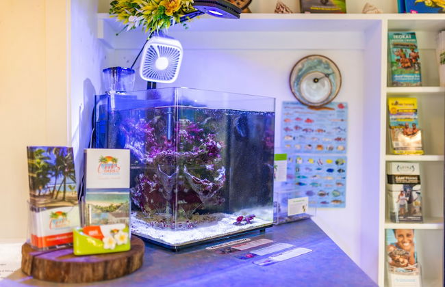 The Cooks Oasis - Foto 4