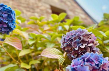 Au Bonheur de la Baie - Four à Pain - Foto 24