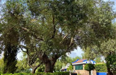 Complejo Rural Mirador de la Alcaidía - Foto 30