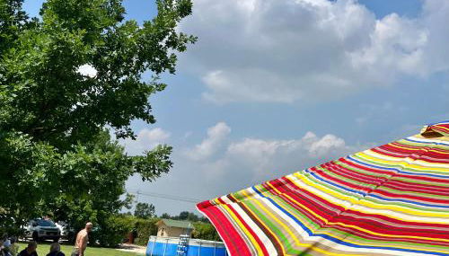 Villa storica 3Lasagne, tra Verona e Venezia - Foto 4, Garden