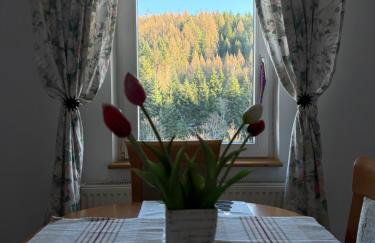 Dom w górach Zacisze lasu - Foto 5