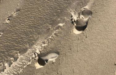 Opale Baie - Foto 32