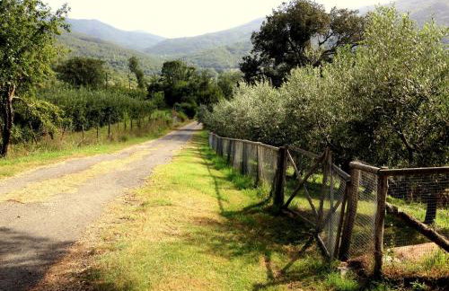 Agriturismo Le Cerinaie - Foto 71