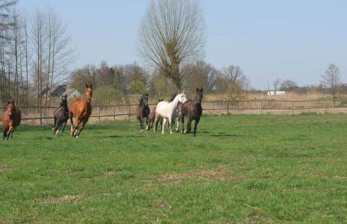 Rancho Colorado - Foto 16