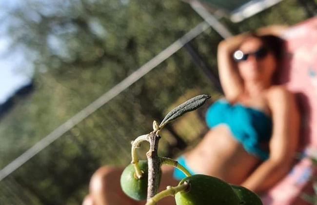 Agriturismo Crocino in Chianti - Foto 18