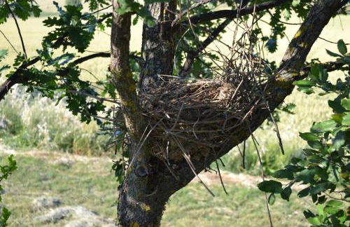 Il Granaio Grande - Foto 33