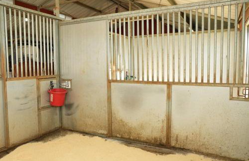 In the Woods by a Pond! Sugar Ranch Guest House! - Foto 40