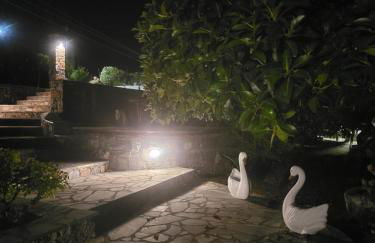 Alexia's resorts - Photo 49