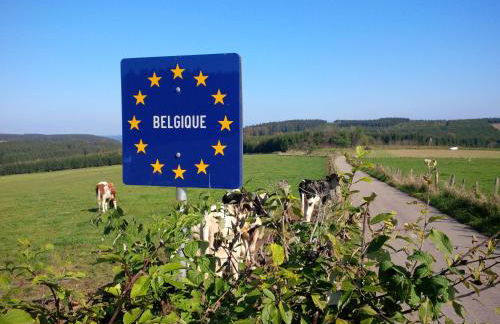 Apartment Brander Blick - Foto 23