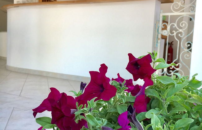 Il Nido dei Gabbiani - Foto 5