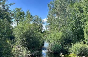 Home Antonin & Maye - Foto 30