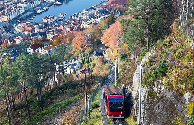 Ruta privada de senderismo por el monte Fløyen y Rundemanen - Foto 7