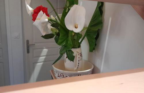 Gîte tante Jeanne - Foto 41