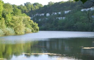 Stylish 1 Bedroom Apartment with Free Parking and Links to London & Essex - Foto 21