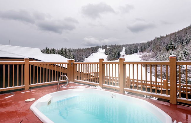 Morning Eagle - Photo 9