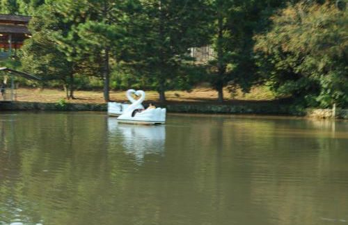 Pousada Recanto Primavera - Photo 48