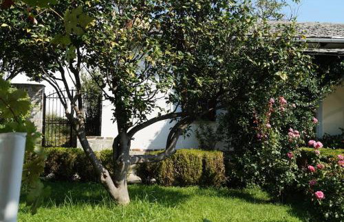 Villa Katia with Sea view, Pourion, Zagora - Photo 7