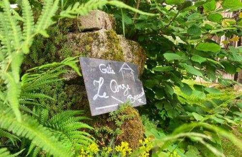 Gite le Onze beauval - Foto 11