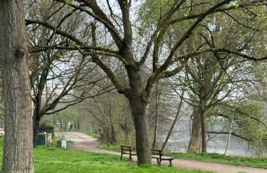 Escale cosy a Strasbourg au fil de l eau - Foto 17