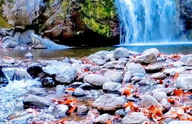 Piccoli Desideri Tra le Singolarità del Molise - Foto 32