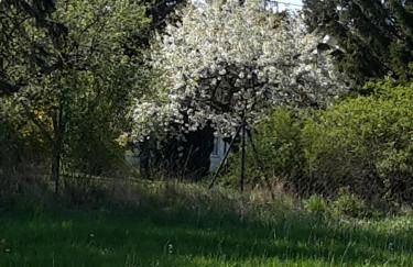 Kuschelige Ferienwohnung nahe Kronach - Foto 14