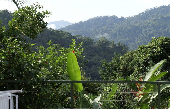 Pura Natura Lodge Arroyo - Foto 49