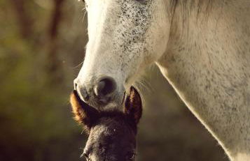 CORK VALLEY - Pet Friendly & Only Adults - Foto 16