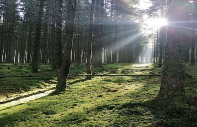 Charming House in Hautefort With Pool & Nature - Foto 38