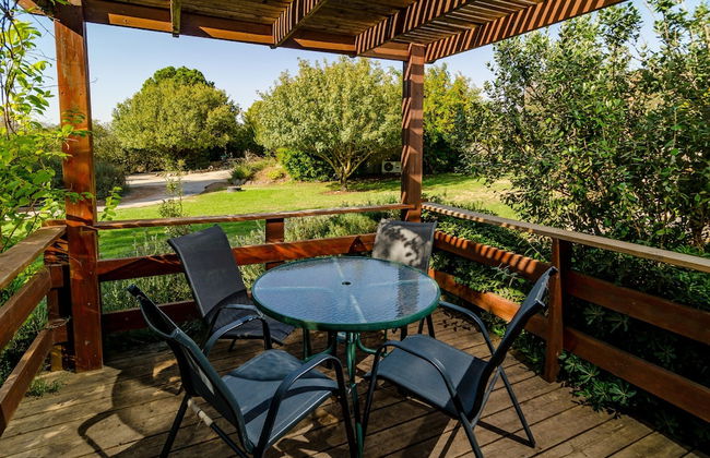 Nofey Habashan - Foto 32