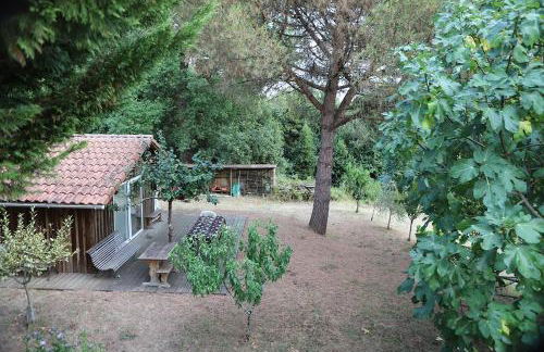 LE TERTRE CAMILLAC - Foto 22