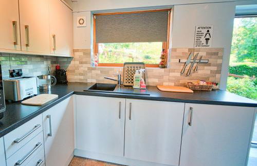 Arenig - Bala Lake - Foto 5