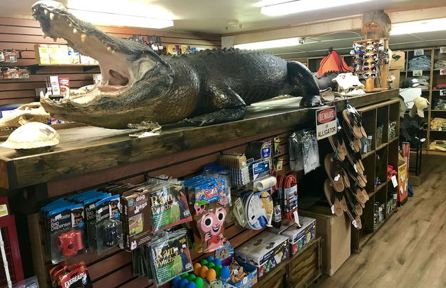 Camp Mack Lodge, Marina & RV Resort - Foto 79