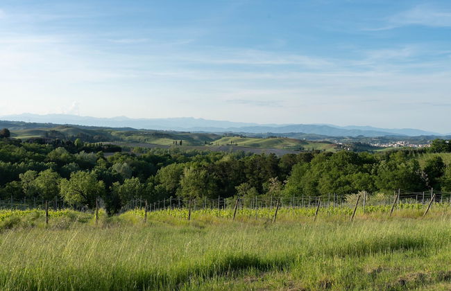 Villa Noemi - Foto 38