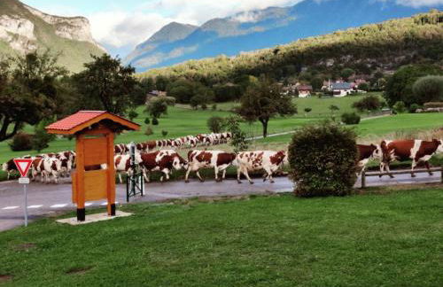 C le birdie - Foto 29