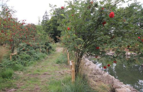 Serene Countryside Home with Manicured Gardens - Foto 55