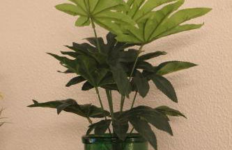 Casa dos Leme - Foto 33