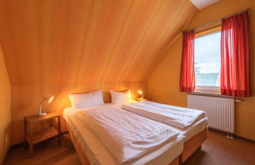 Sonnenblume_DH - Foto 11