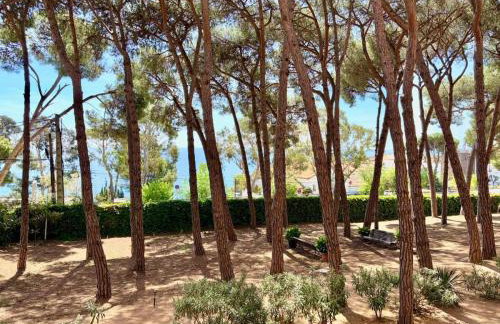 Apartamento con vistas al mar entre pinos - Photo 17
