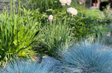 Weberhof-Münster 2 - Foto 66