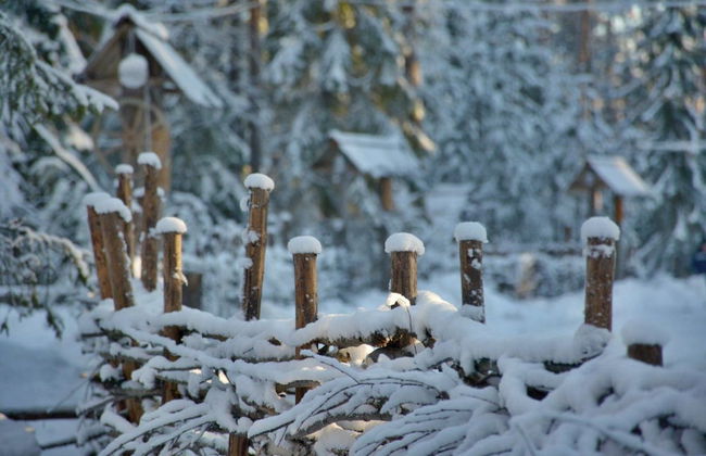 Shishki na Lampushke - Russkaya Derevnya - Foto 22