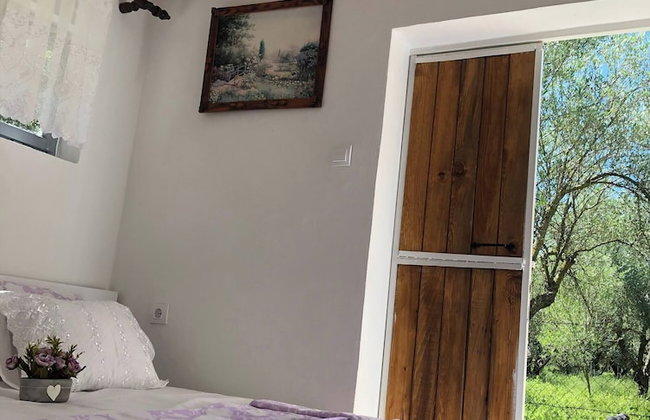 Rajana Bungalow 2 - Photo 2