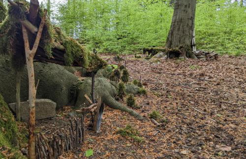 Ferienwohnung Mühl - Familienfreundlich, 2 Schlafzimmer, großes Grundstück, Erzgebirge - Foto 59