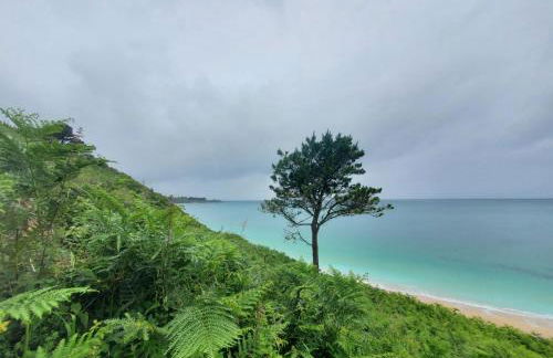 Bel appartement centre Le Palais - Photo 22